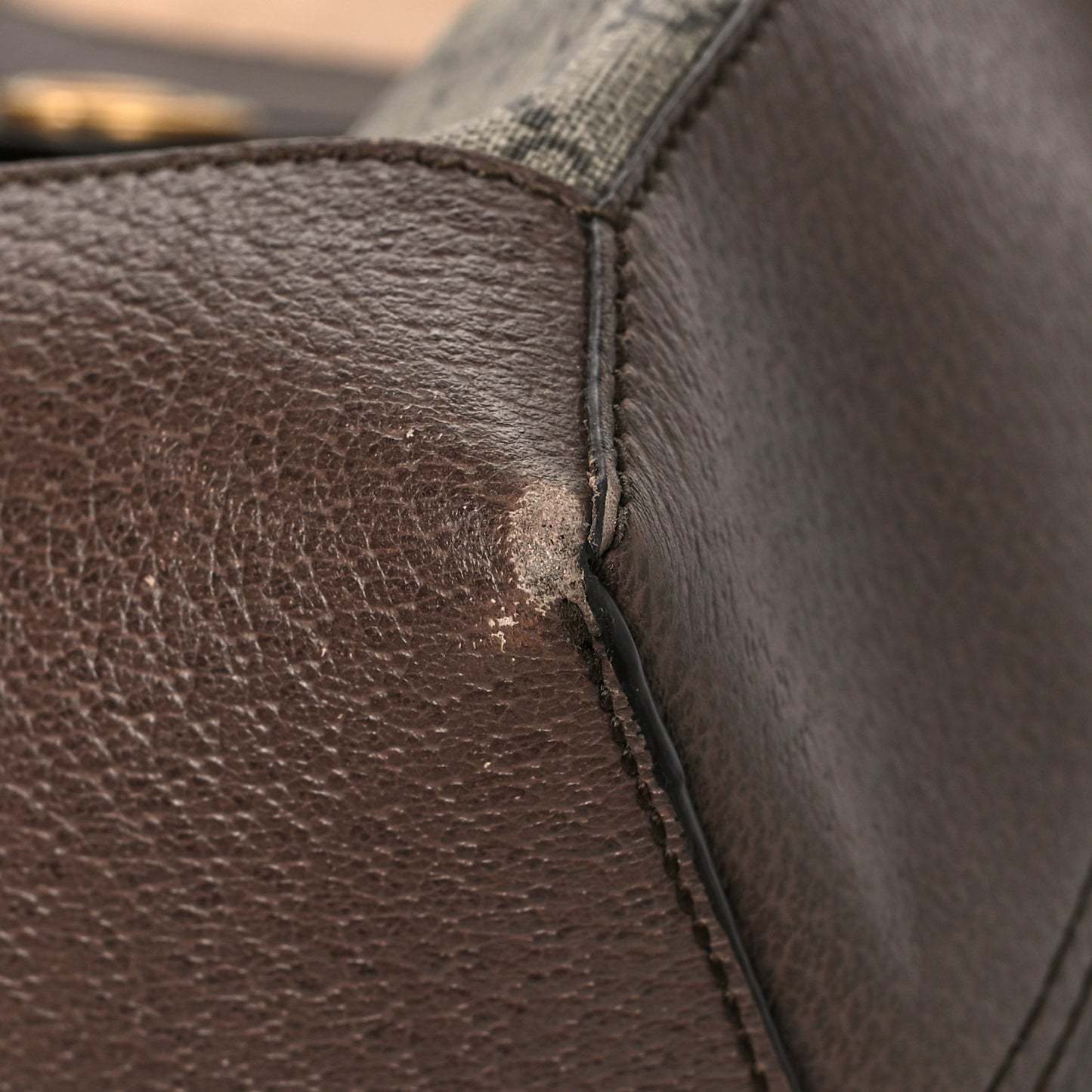 GG Supreme Monogram Web Ophidia Tote Brown