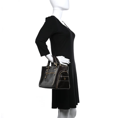 Celine Buffalo Boogie Satchel Brown 2 of 9