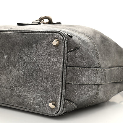 Chloe Metallic Calfskin Kerala Bag Canon 9 of 11