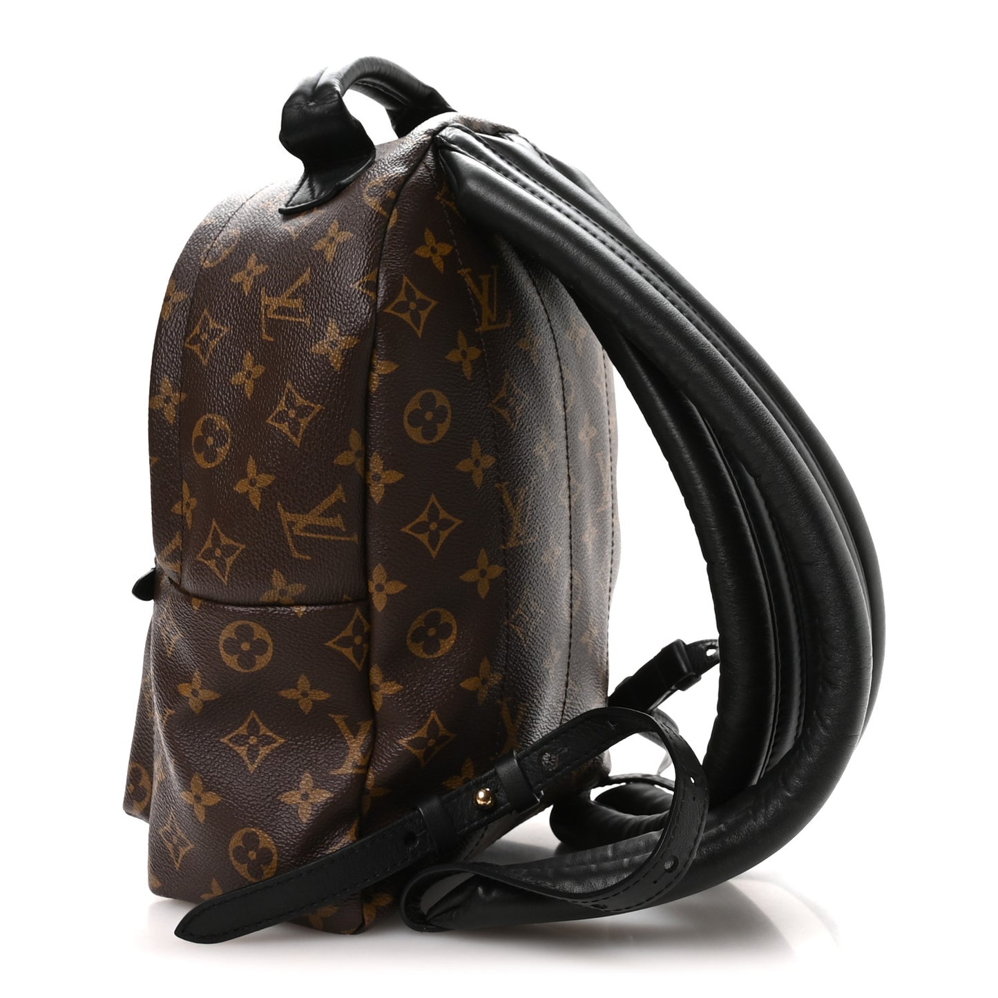 Monogram Palm Springs Backpack PM