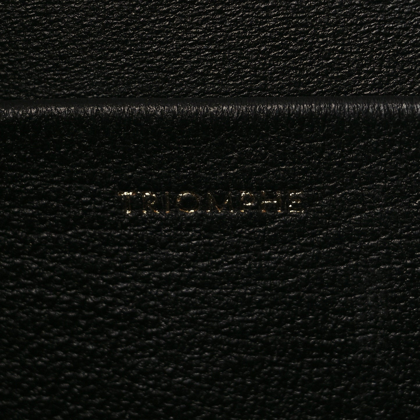 Shiny Calfskin Nano Triomphe Black