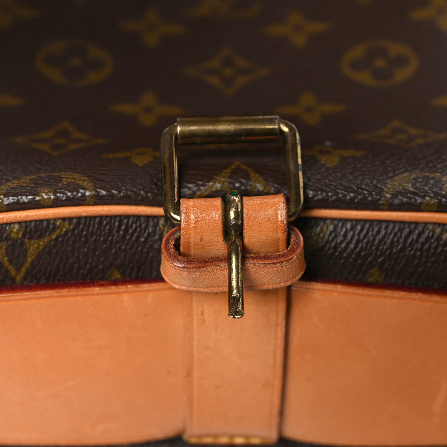 Monogram Cartouchiere 22