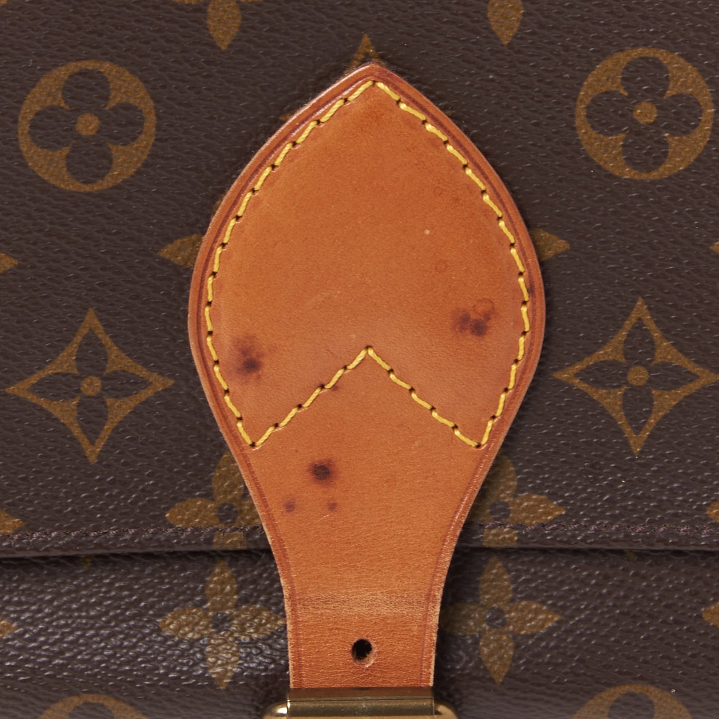 Monogram Cartouchiere 22