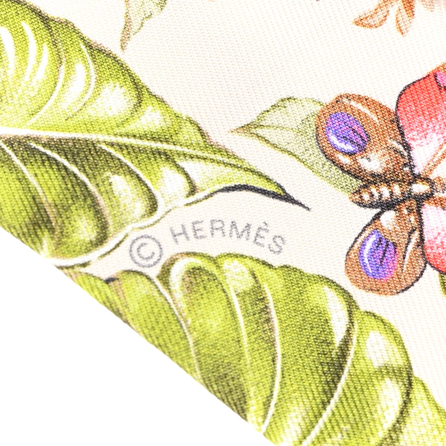 Silk Equateur Twilly Creme Vert Multicolore