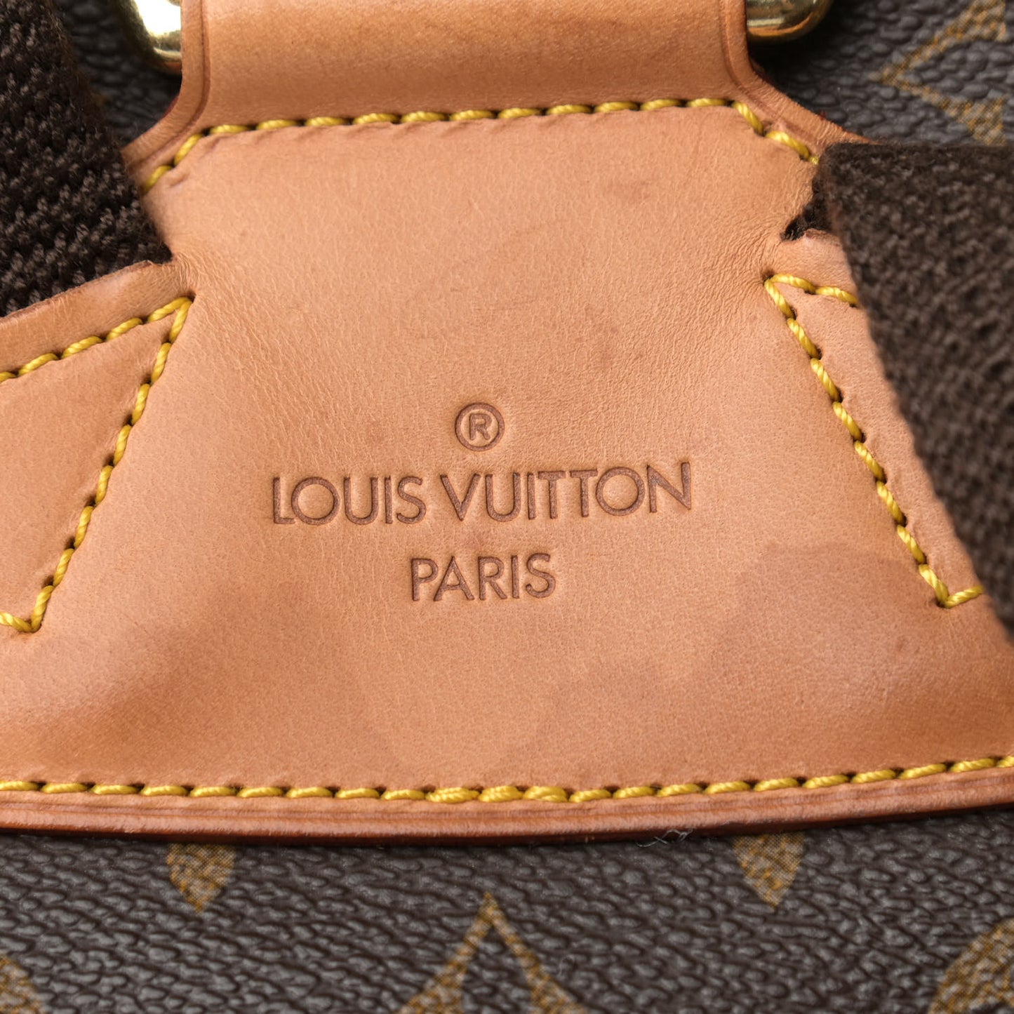Monogram Montsouris GM Backpack