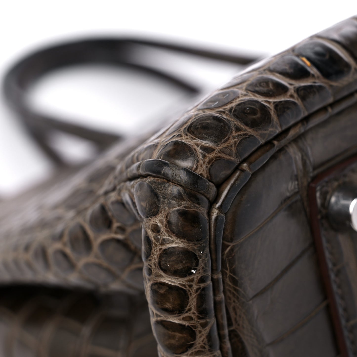 Matte Porosus Crocodile Birkin 35