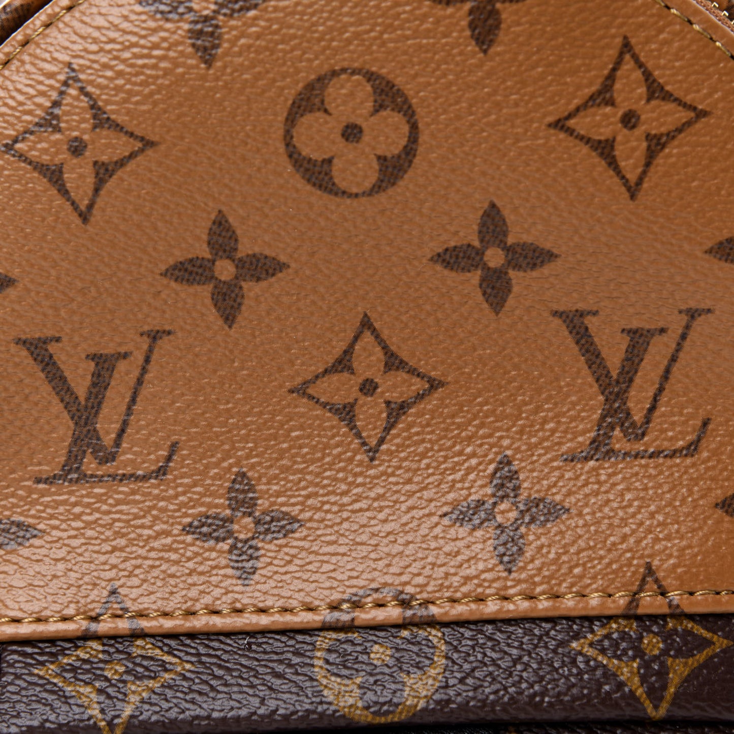 Reverse Monogram Palm Springs Backpack Mini