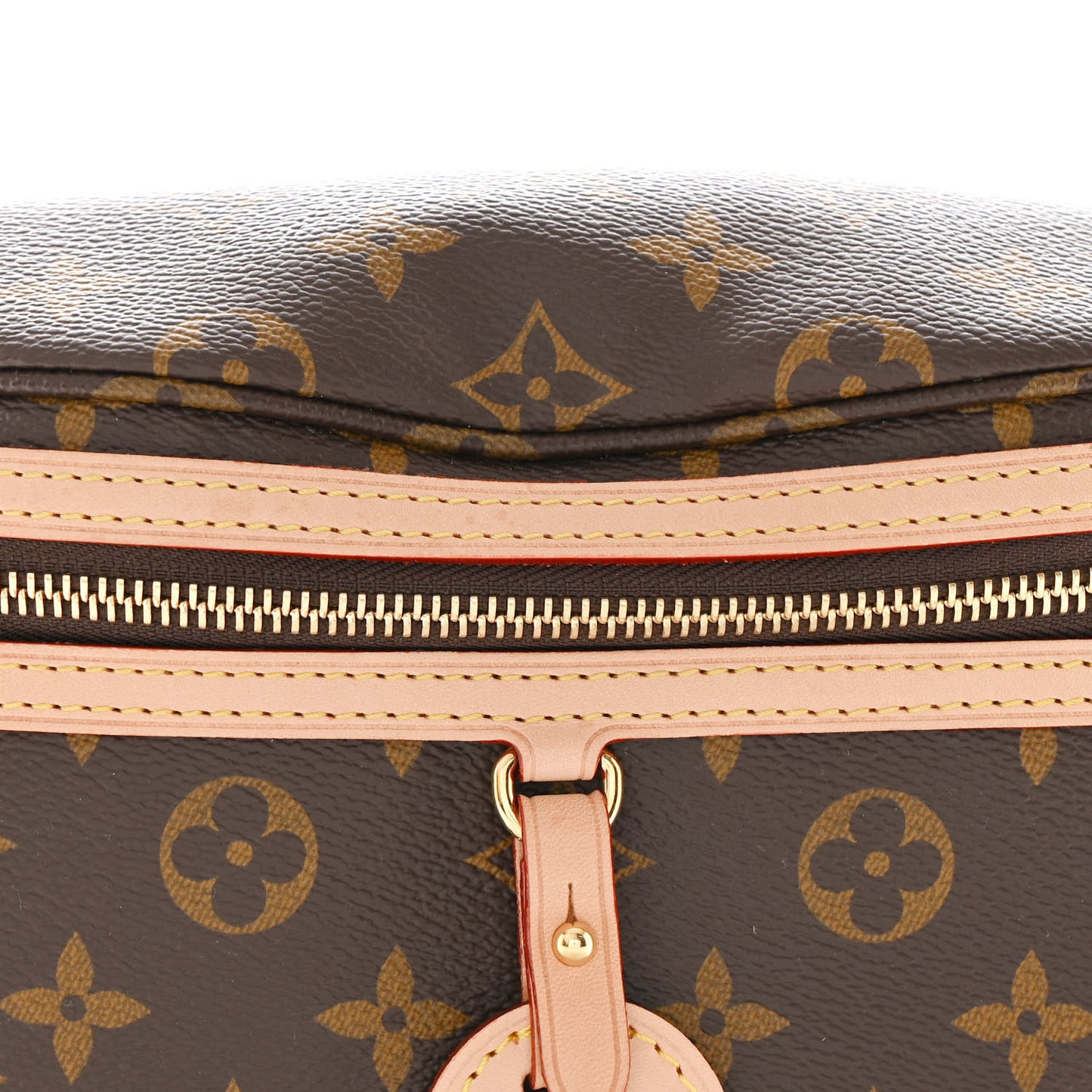 Monogram High Rise Bumbag