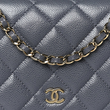 Chanel Caviar Quilted Wallet On Chain WOC Grey 9 of 12