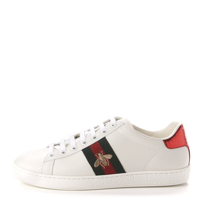 Gucci Calfskin Ayers Web Bee Embroidered Womens Ace Sneakers 38.5 White Green 1 of 10