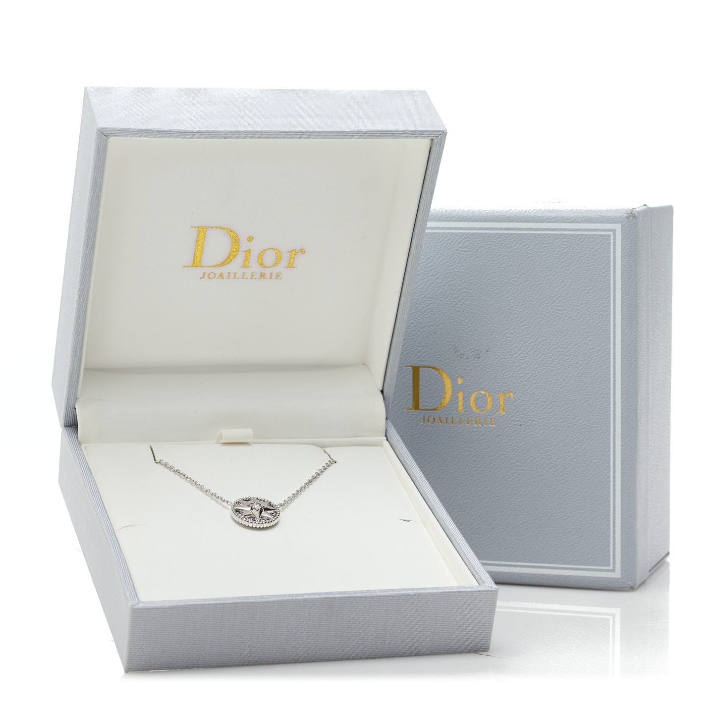 18K White Gold Diamond Rose Des Vents Pave Necklace