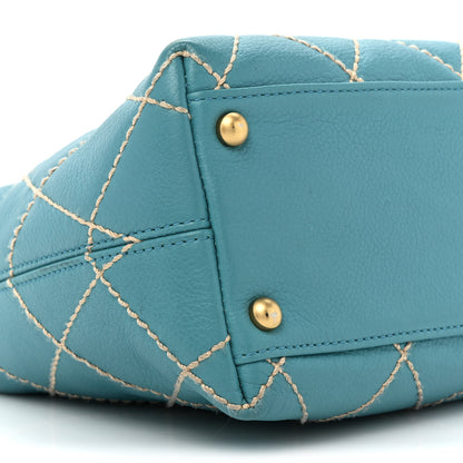 Chanel Calfskin Wild Stitch Surpique Hobo Blue 9 of 16