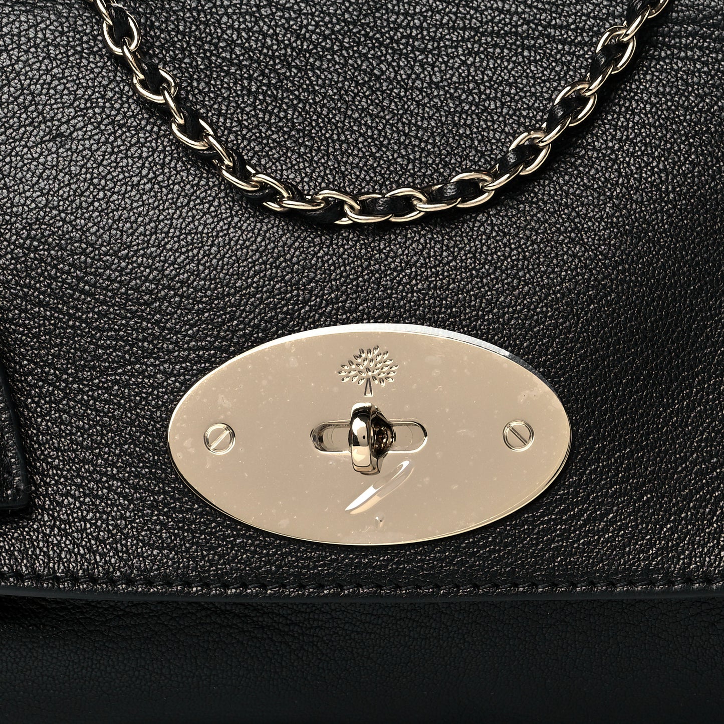Glossy Goatskin Small Lily Flap Black