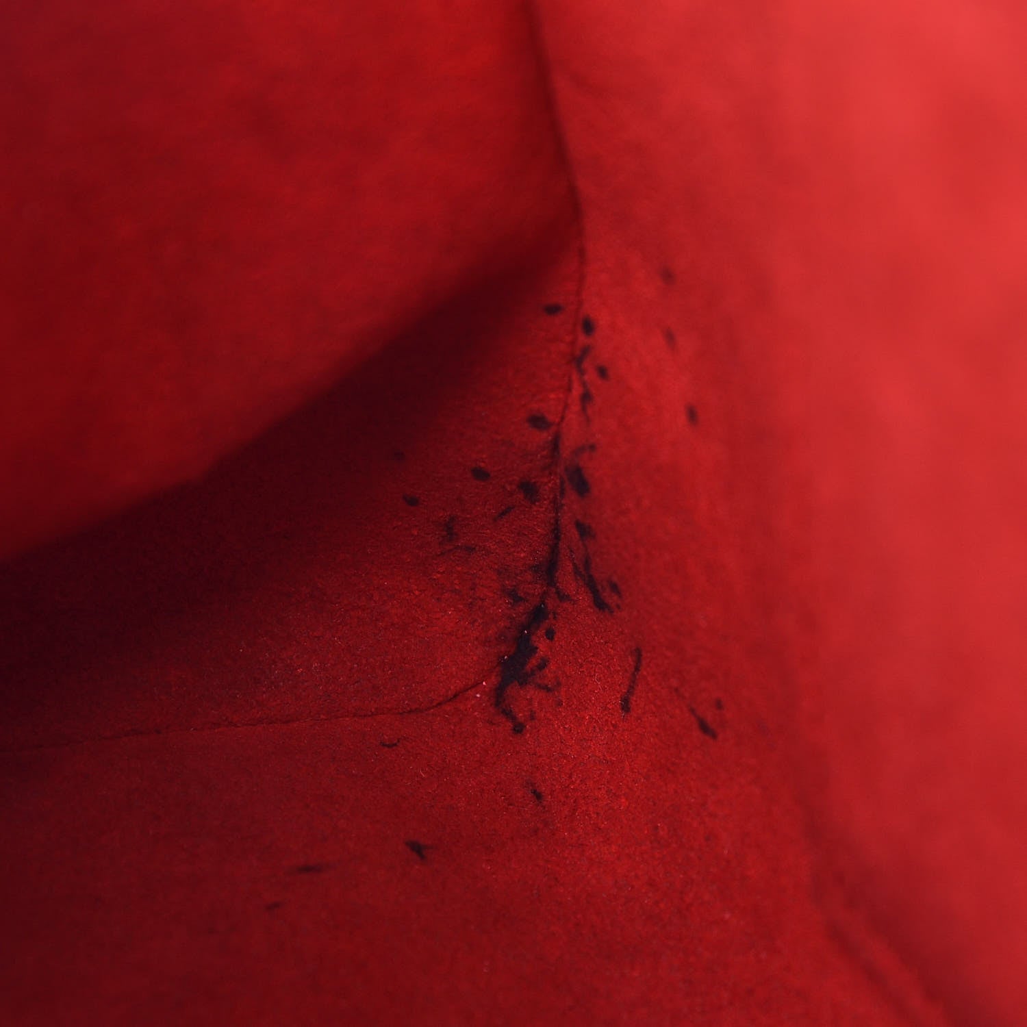 Louis Vuitton Monogram Tuileries Caramel Rouge 16 of 22