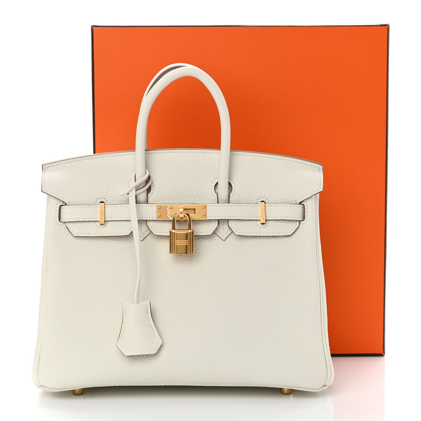 Togo Birkin 25 Mushroom