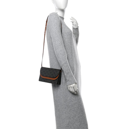 Celine Triomphe Canvas Lambskin Wallet On Strap Tan 2 of 11