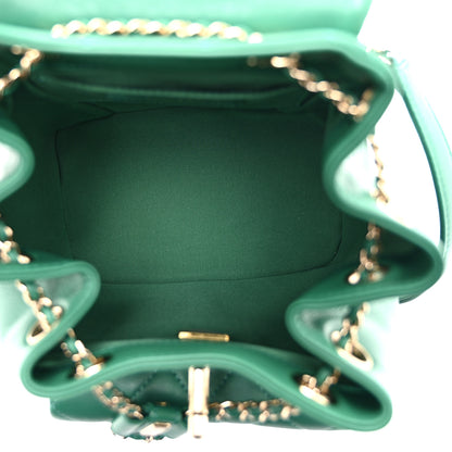 Chanel Lambskin Quilted Small Duma Drawstring Backpack Green 5 of 11