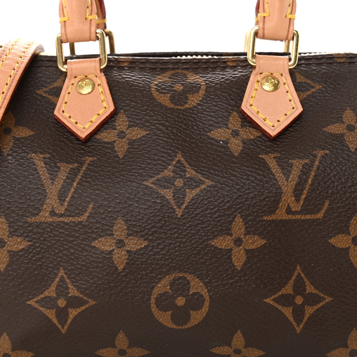 Monogram Nano Speedy
