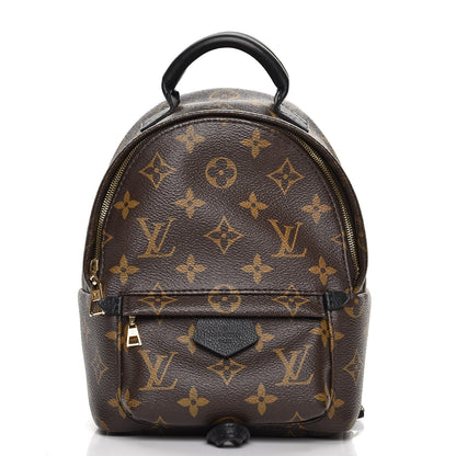 Louis Vuitton Monogram Palm Springs Backpack Mini 1 of 7