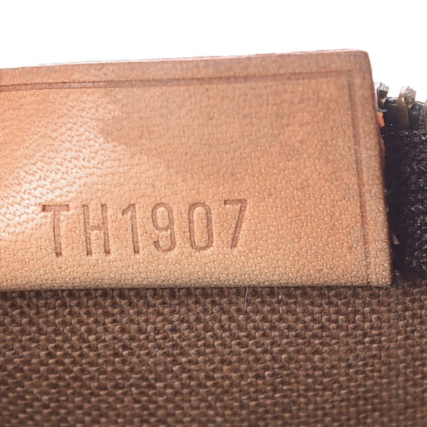 Monogram Mini Sac HL Speedy