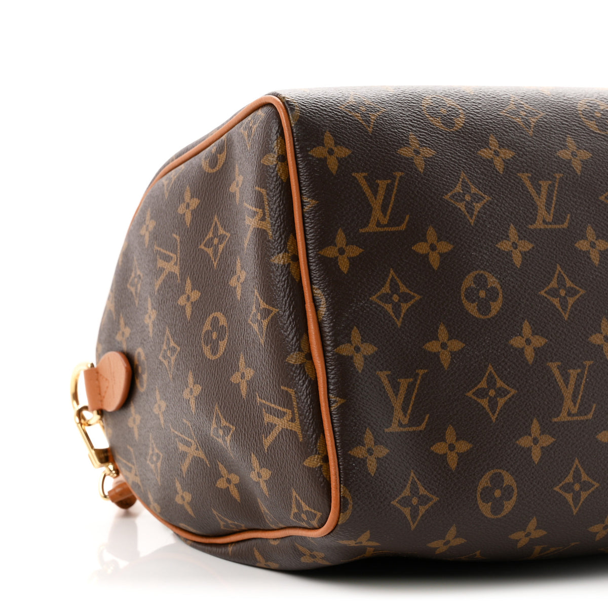 Monogram Speedy Soft 30 Boho