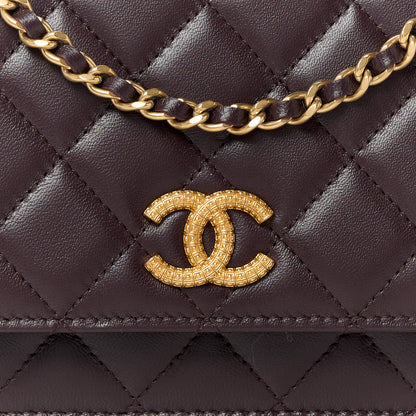 Chanel Lambskin Quilted Studded CC Wallet On Chain WOC Brown 9 of 12