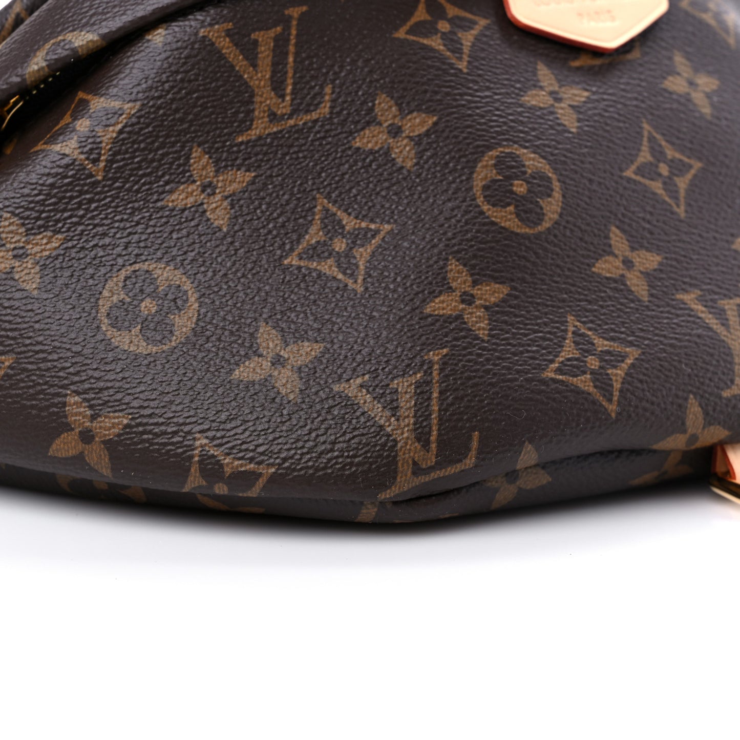 Monogram Bumbag