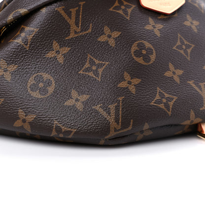 Louis Vuitton Monogram Bumbag 7 of 8
