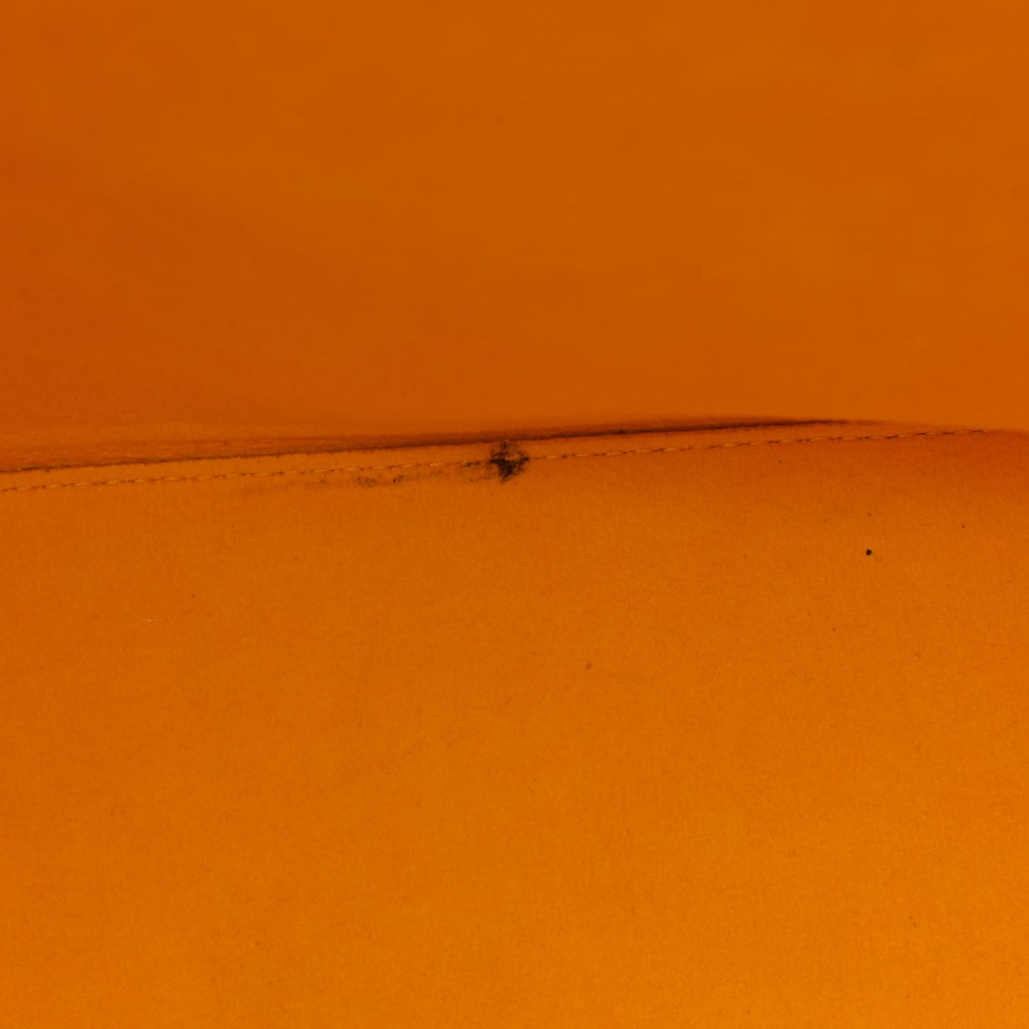 Epi Neverfull MM Mimosa