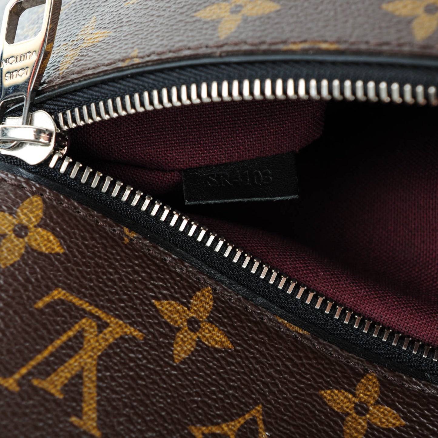 Monogram Macassar Palk Backpack