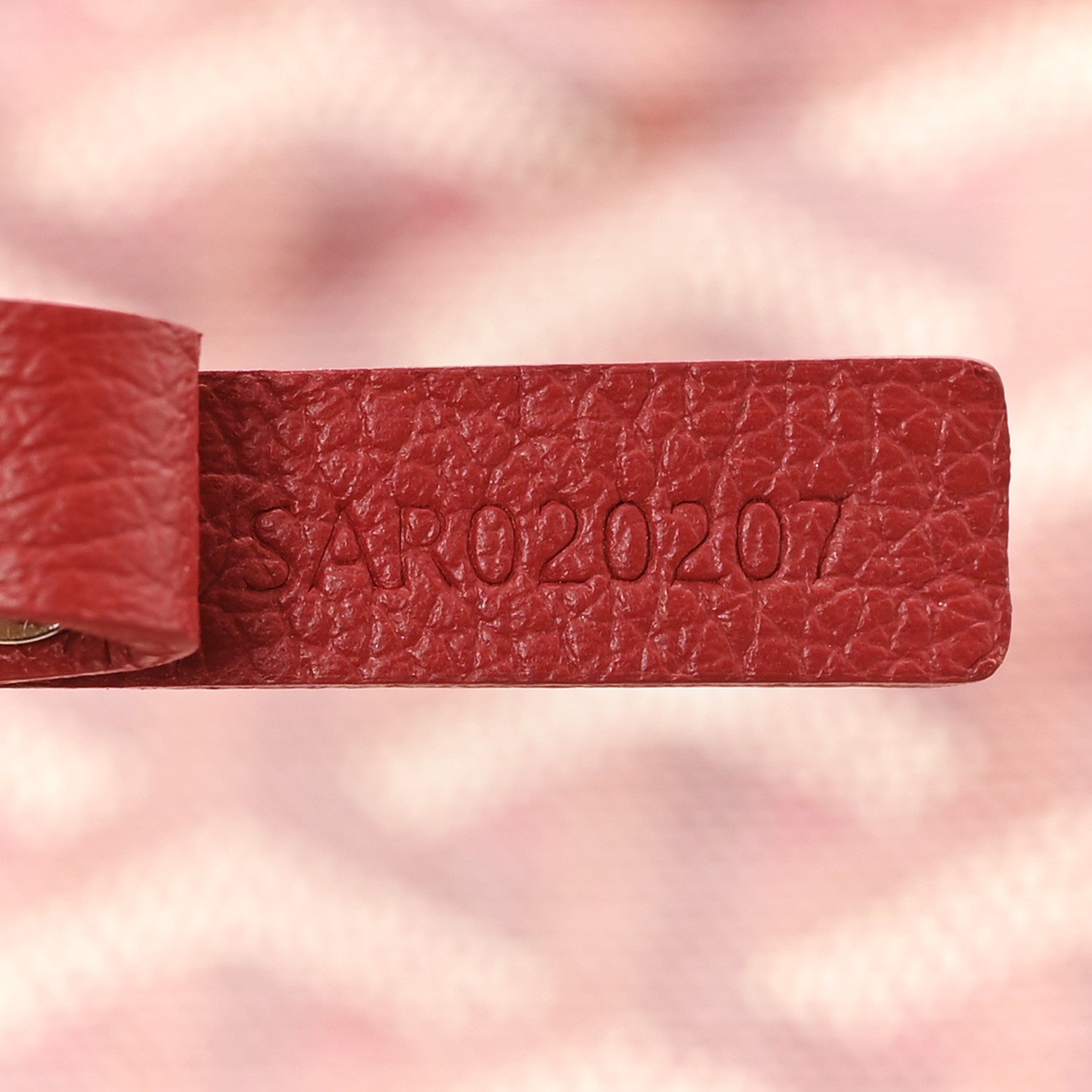 Goyard Goyardine Saint Louis PM Red 8 of 12