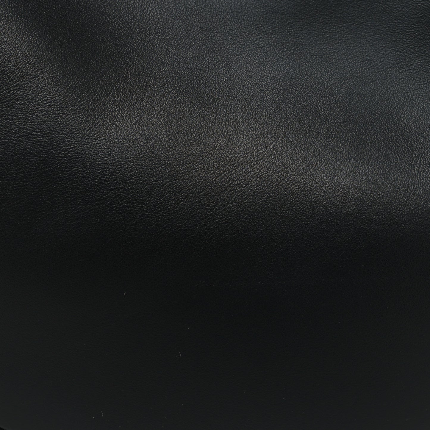 Vitello Grace Matte Mini Fendigraphy Hobo Bag Black