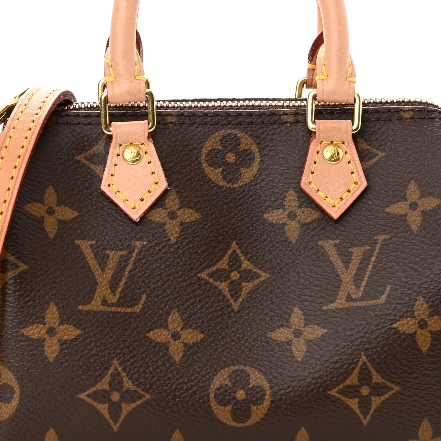 Monogram Nano Speedy