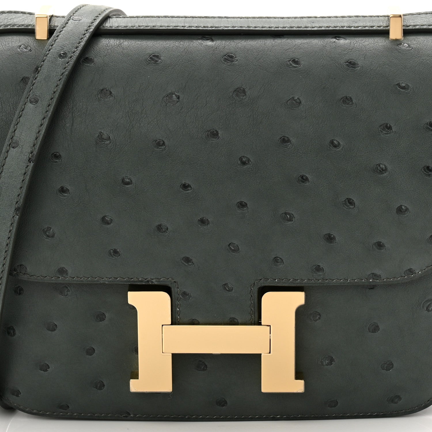 Hermes Ostrich Constance 18 Vert Amande 9 of 12