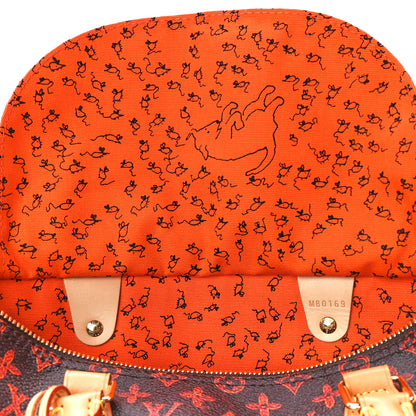 Louis Vuitton Catogram Speedy Bandouliere 30 Marron 13 of 13