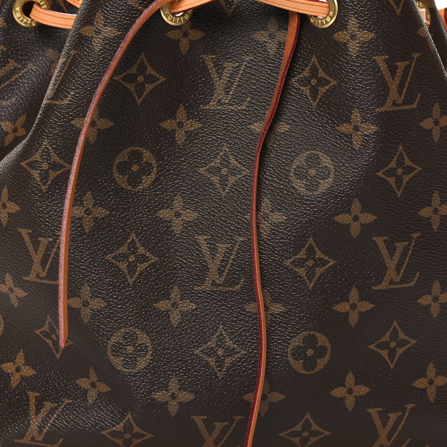 Monogram Petit Noe NM