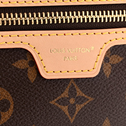 Louis Vuitton Monogram Lineup MM 5 of 9