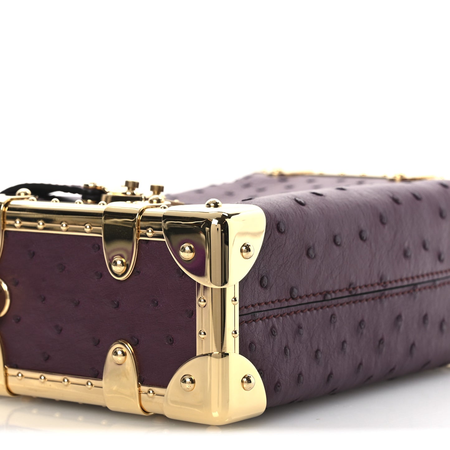 Ostrich Side Trunk PM Bordeaux