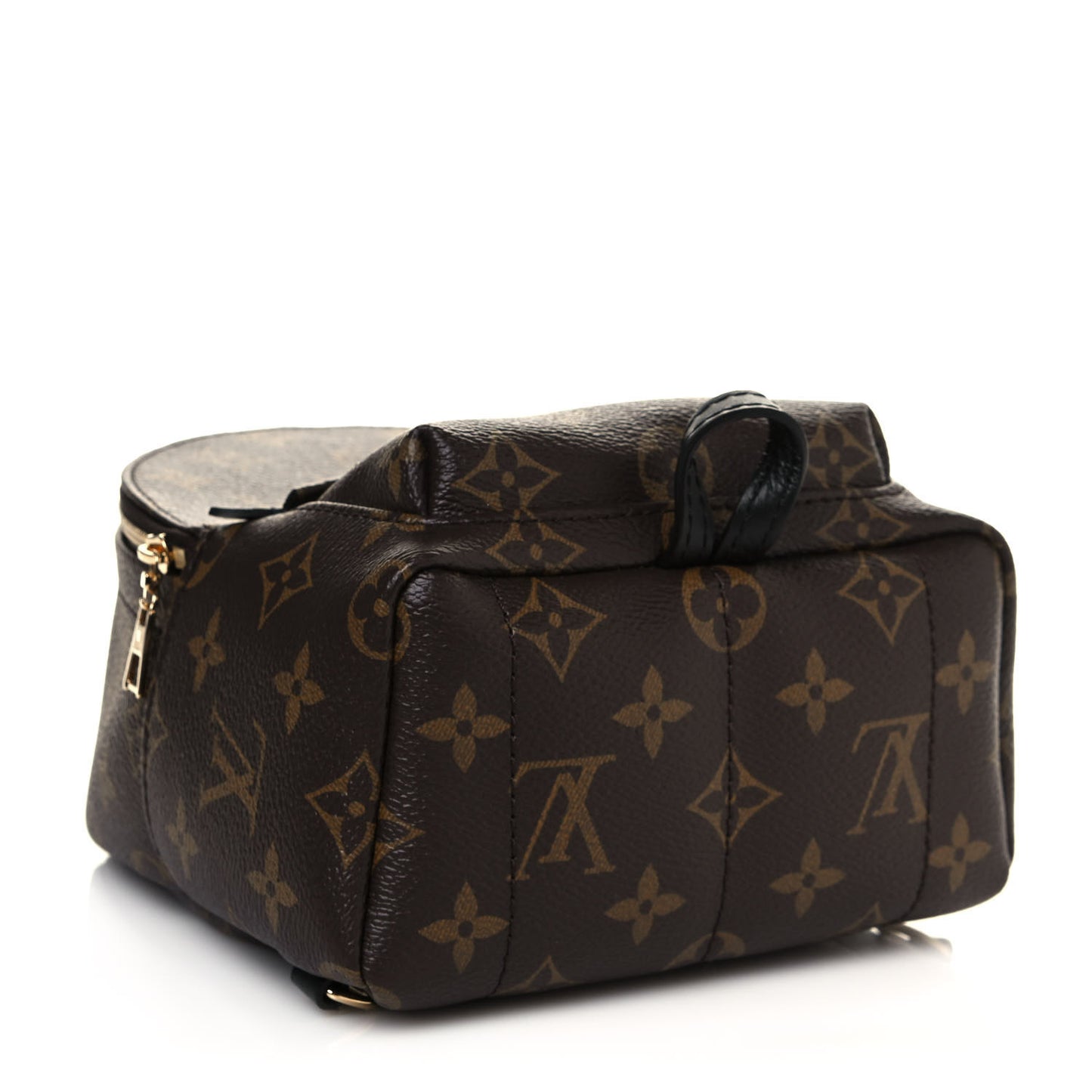 Monogram Palm Springs Backpack Mini