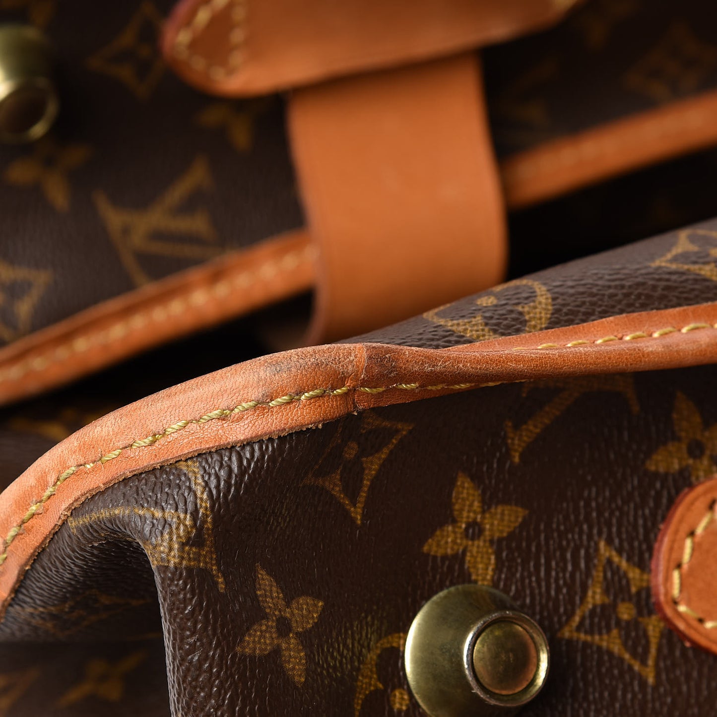 Monogram Portable Garment Bag