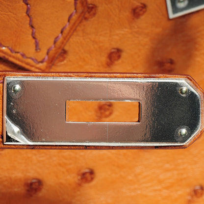 Hermes Ostrich Birkin 30 Cognac 10 of 29