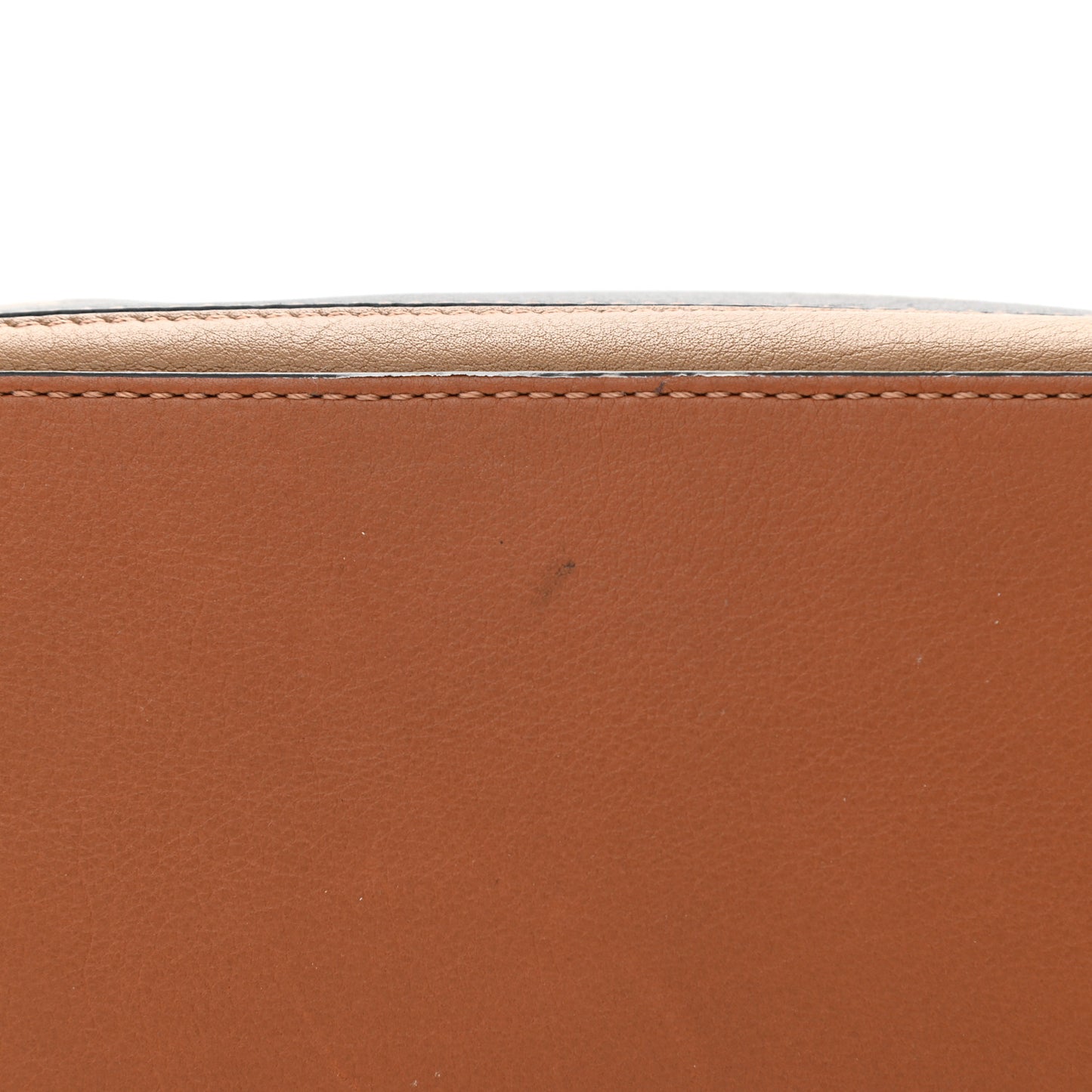 Calfskin Small Paula's Ibiza Lizard Puzzle Bag Multi