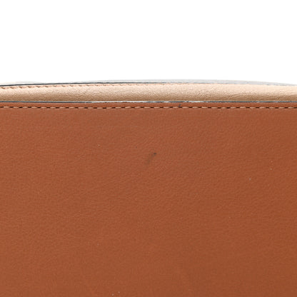 Loewe Calfskin Small Paula's Ibiza Lizard Puzzle Bag Multi 12 of 12