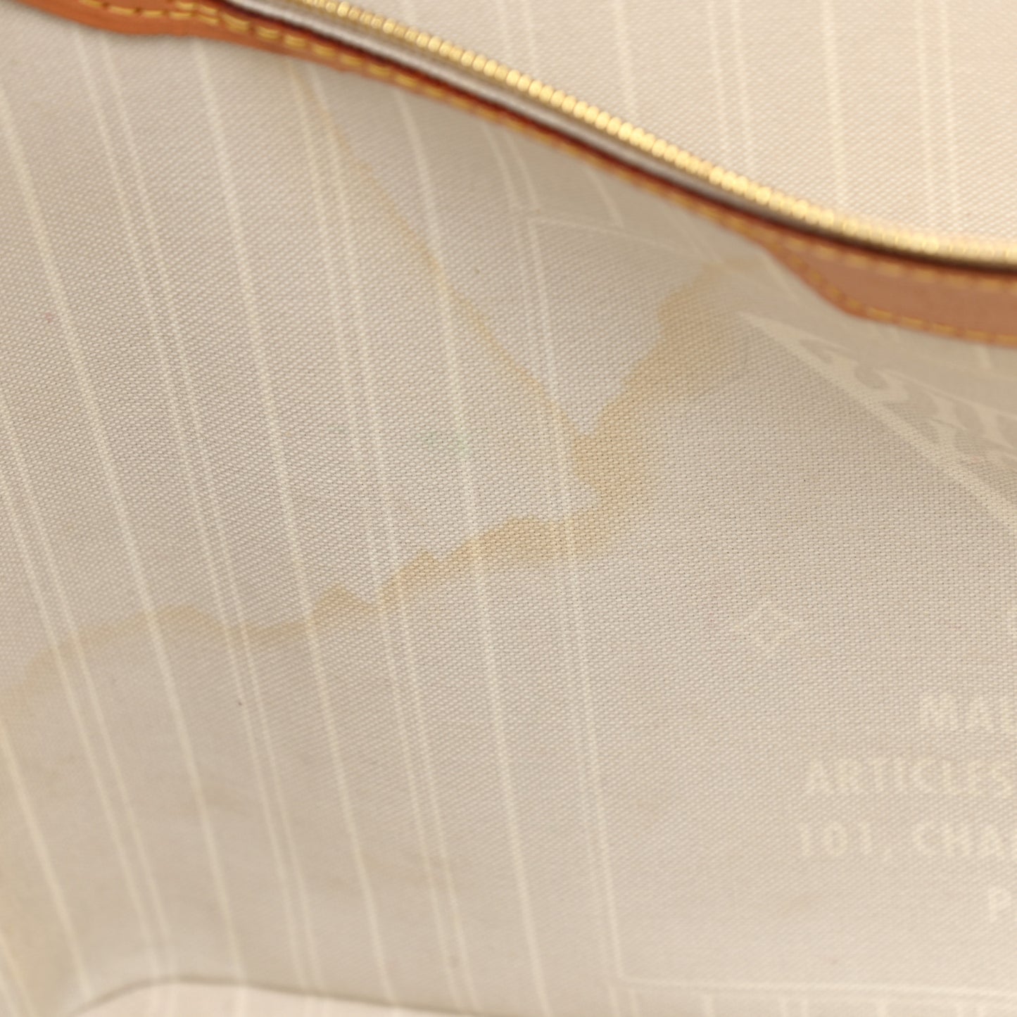 Monogram Giant By The Pool Neverfull MM Brume