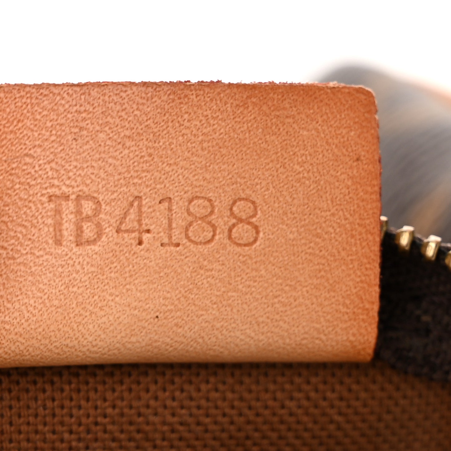 Monogram Nano Speedy