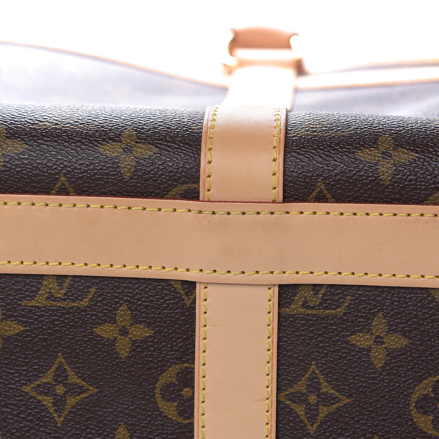 Louis Vuitton Monogram Sac Chien 50 Pet Carrier 11 of 16