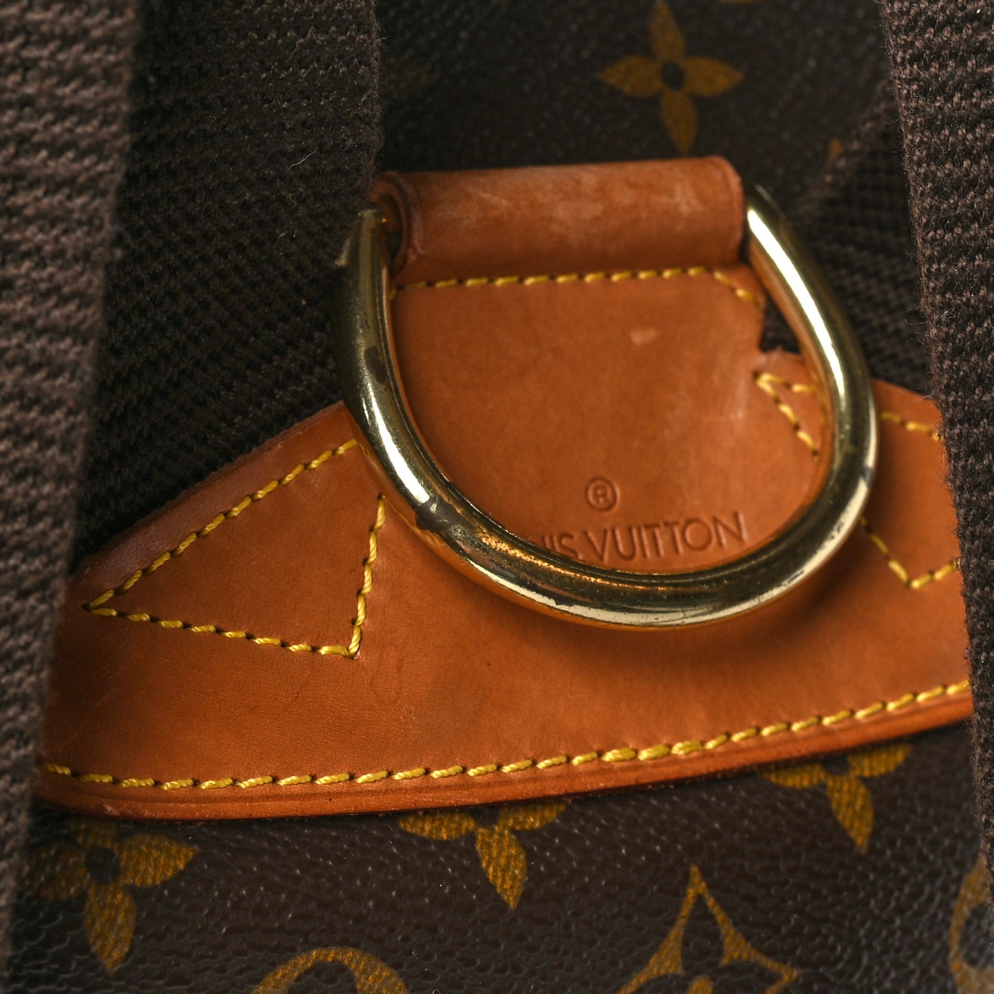 Monogram Montsouris GM Backpack