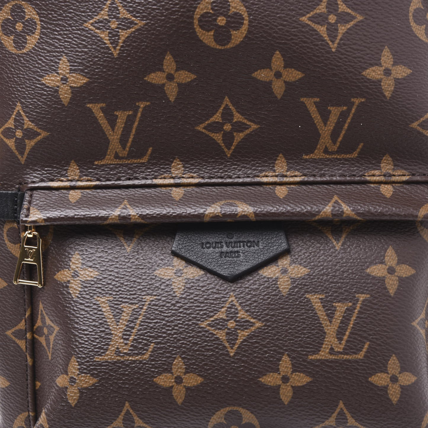 Monogram Palm Springs Backpack PM