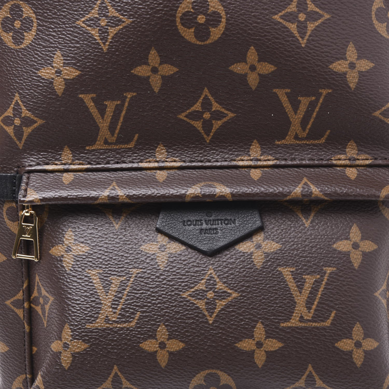 Louis Vuitton Monogram Palm Springs Backpack PM 10 of 10