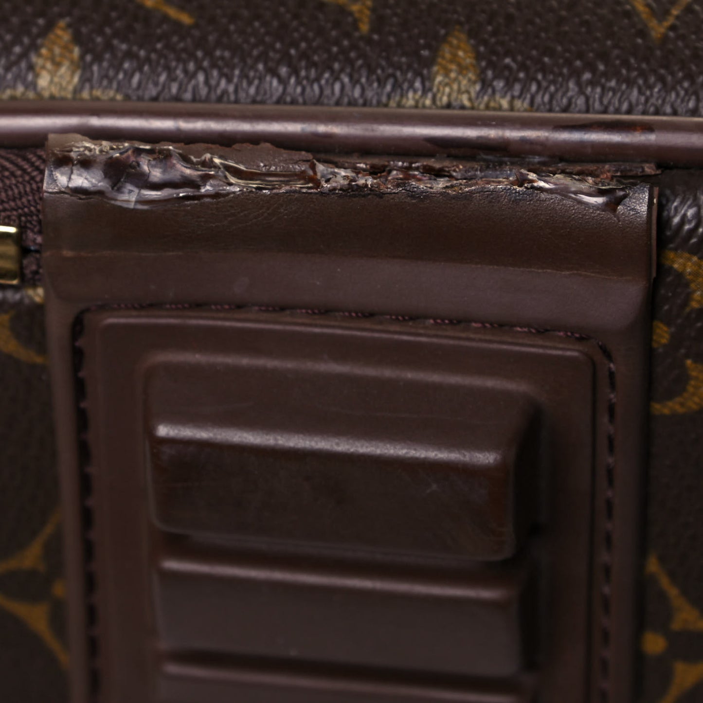 Monogram Pegase 55